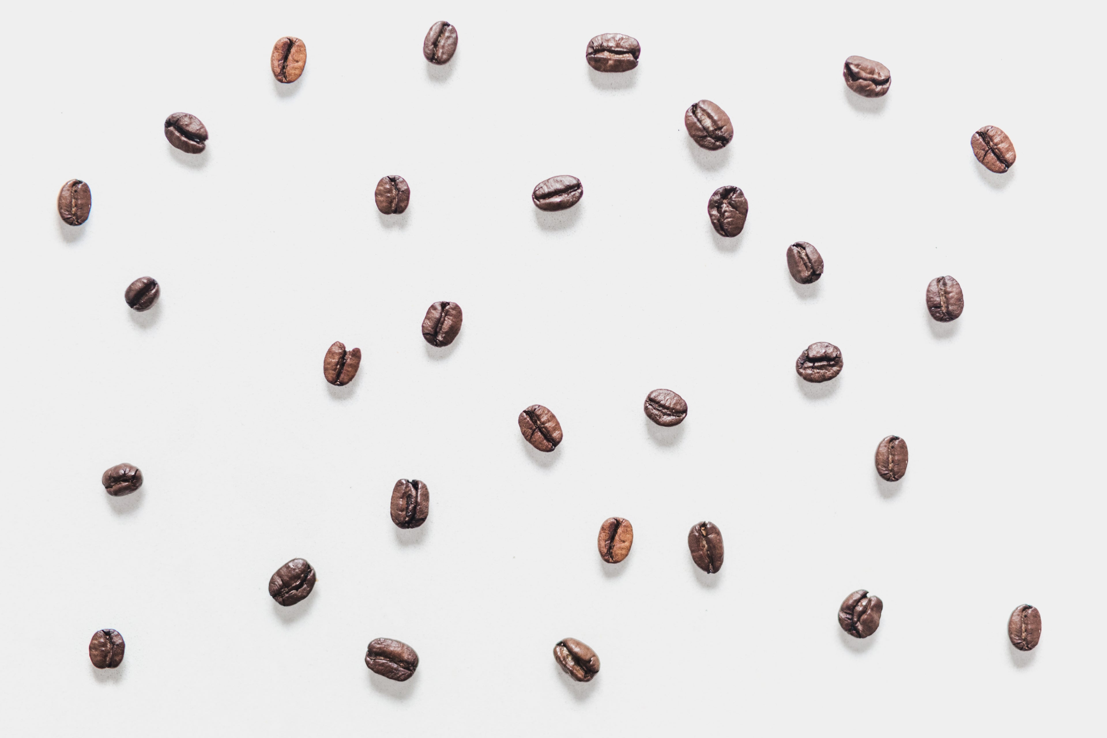 coffee beans spread out on a white surface